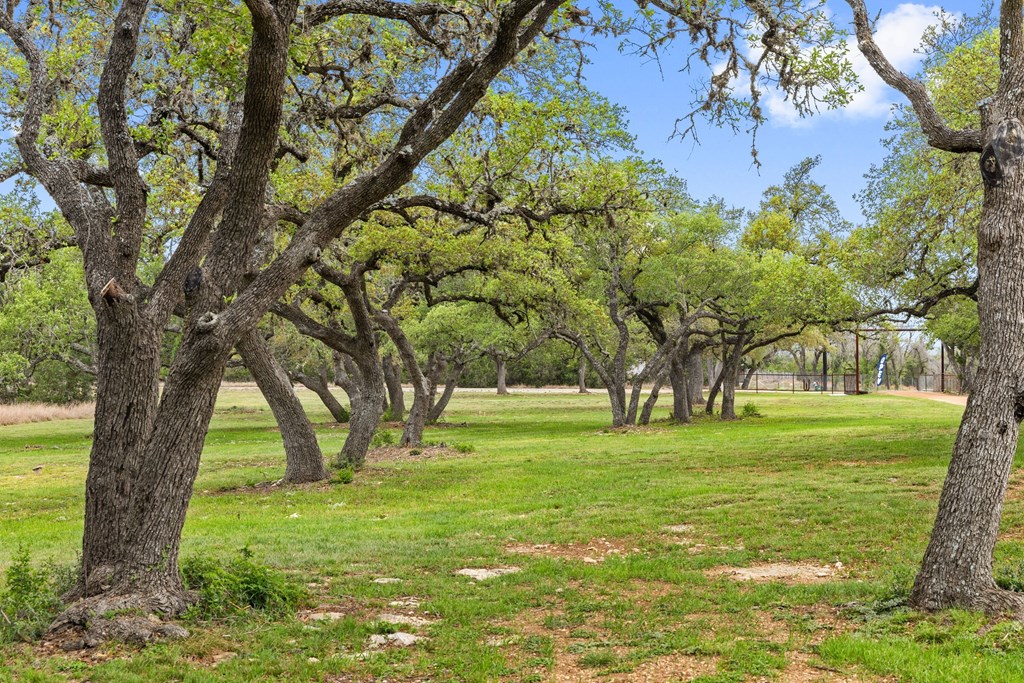 7503 E Us Hwy 290 Property Photo 30