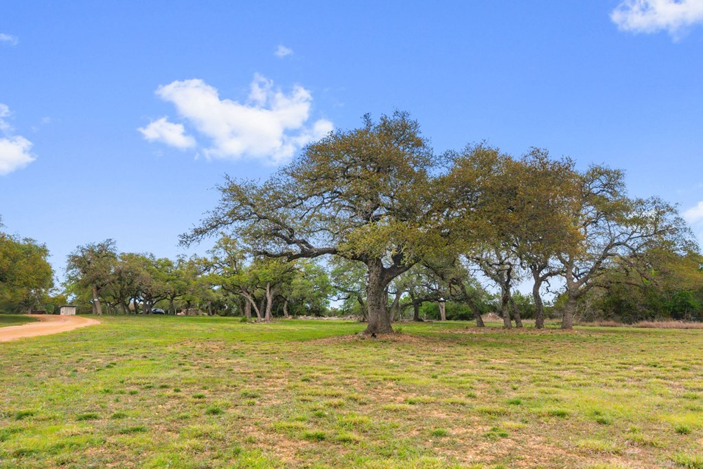 7503 E Us Hwy 290 Property Photo 31