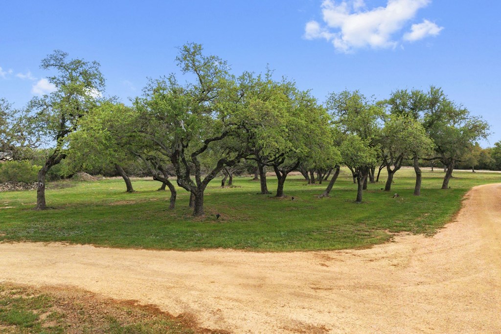 7503 E Us Hwy 290 Property Photo 32