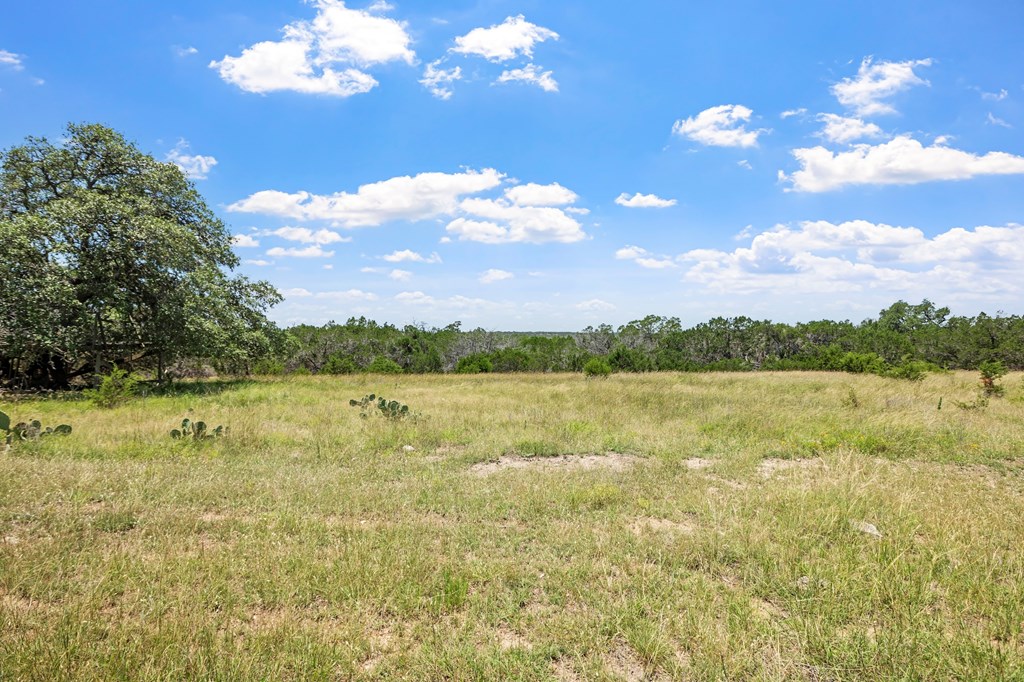 110 Live Oak Lane Property Photo 57