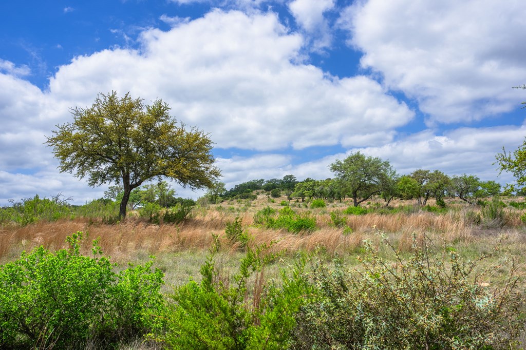 Lot 48 Great Sky Ave Property Photo 3