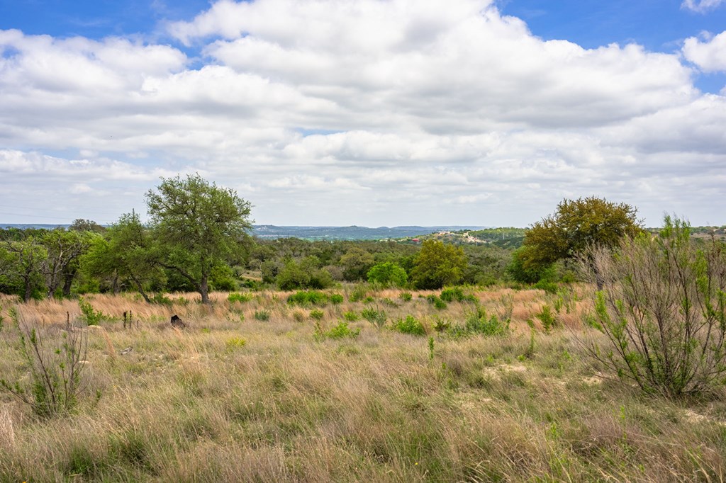 Lot 48 Great Sky Ave Property Photo 4