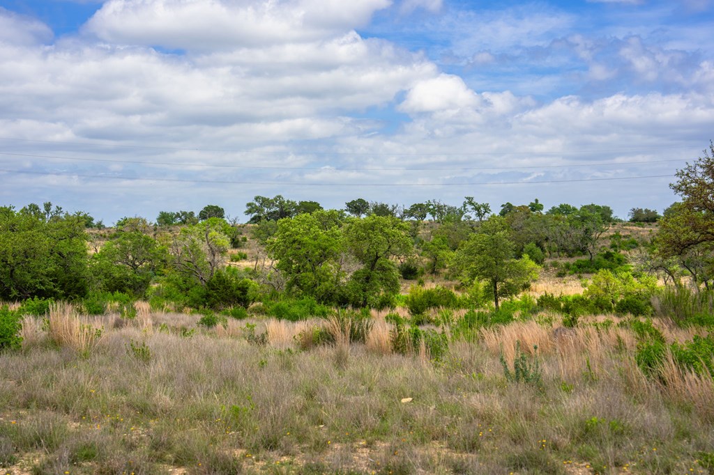 Lot 48 Great Sky Ave Property Photo 12