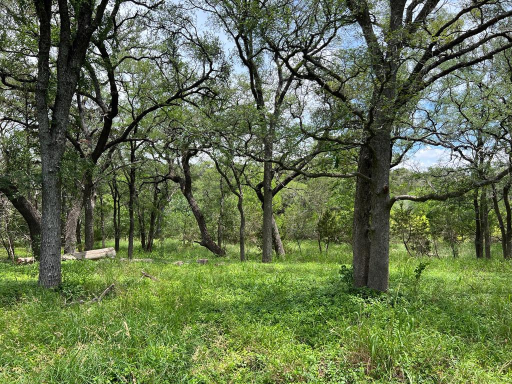 Tbd Narrows Rd Property Photo 1