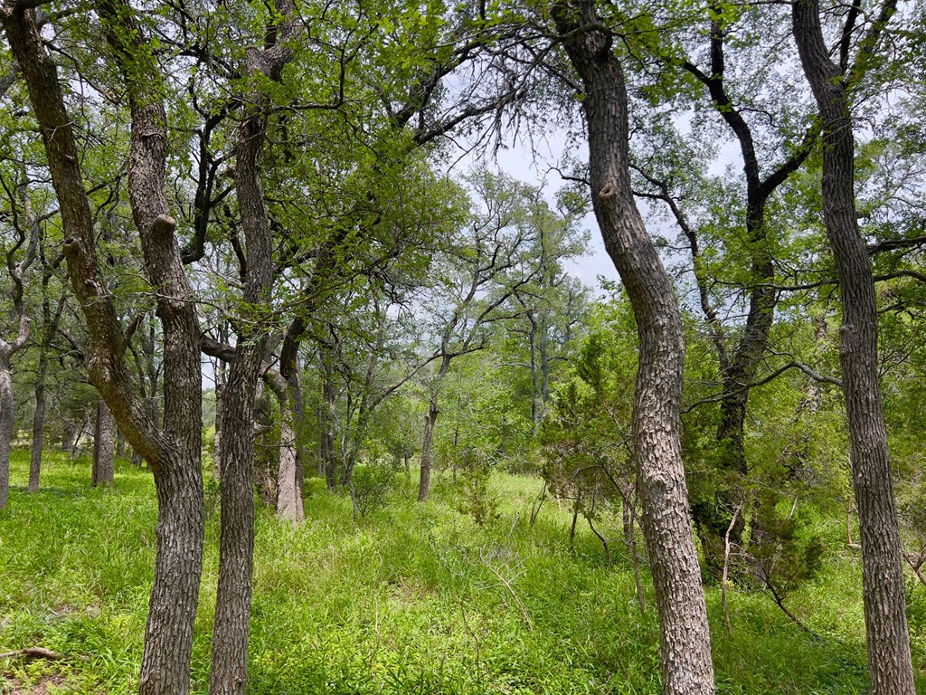 Tbd Narrows Rd Property Photo 2
