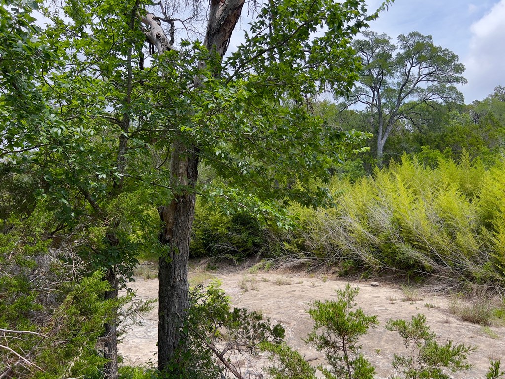 Tbd Narrows Rd Property Photo 3