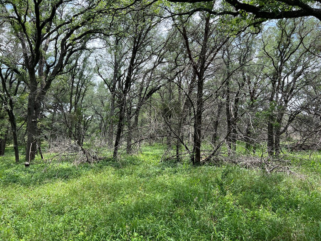 Tbd Narrows Rd Property Photo 4