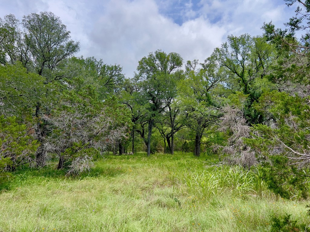 Tbd Narrows Rd Property Photo 5