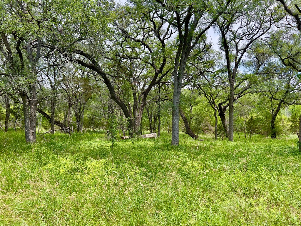 Tbd Narrows Rd Property Photo 6