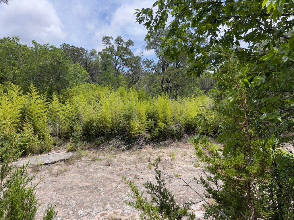 Tbd Narrows Rd Property Photo 7