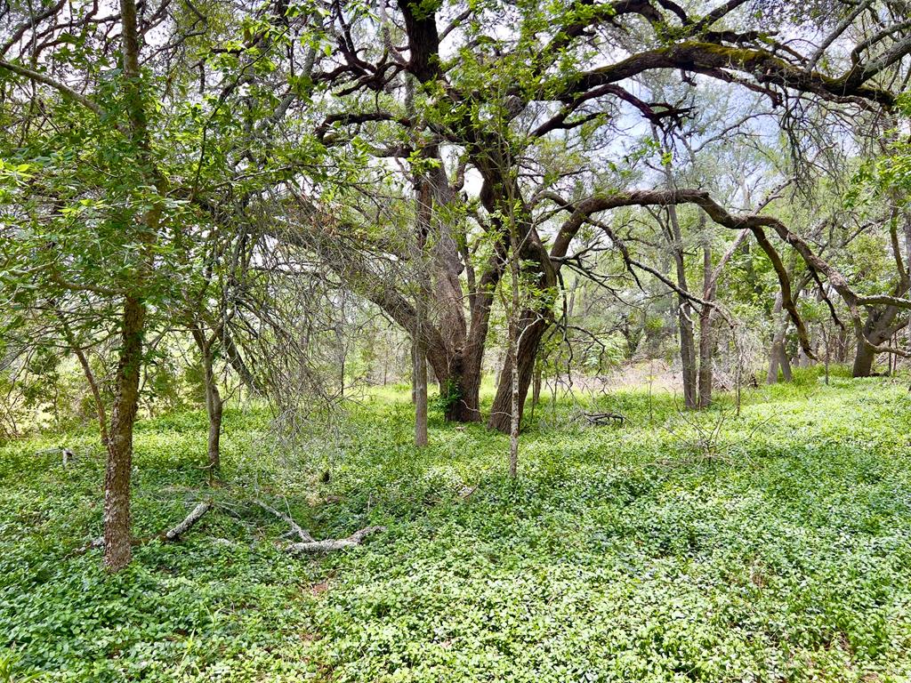 Tbd Narrows Rd Property Photo 8