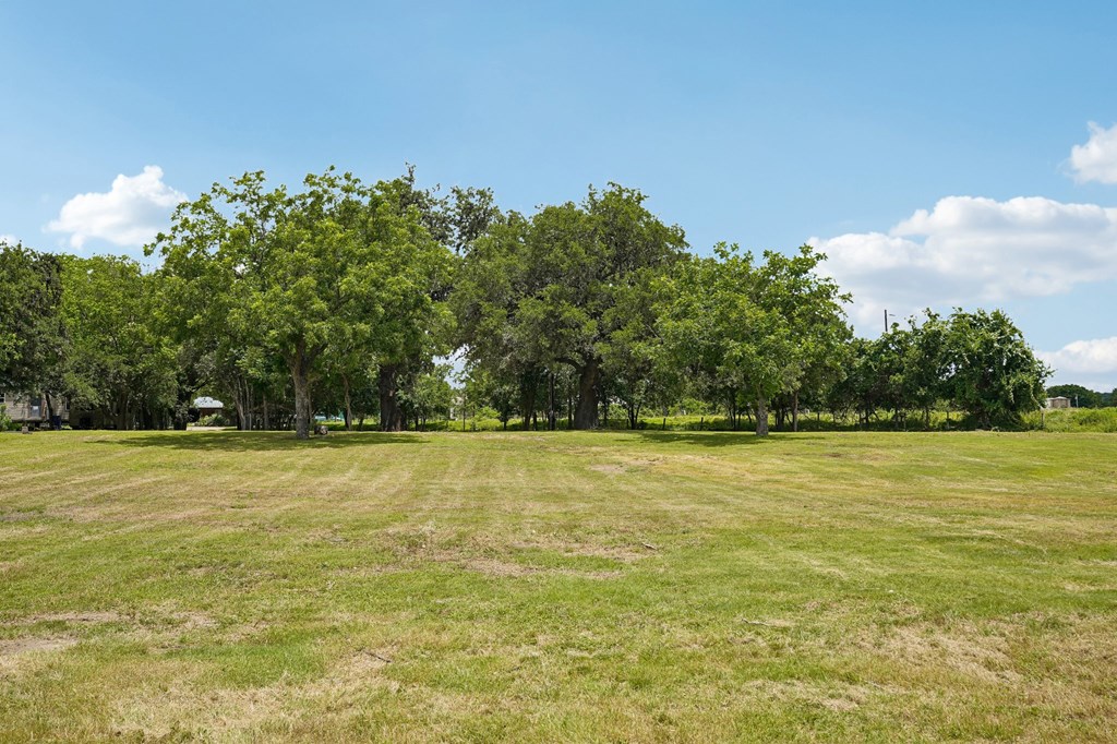 129 Old Ingram Loop Property Photo 16