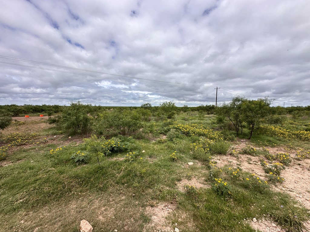 Tbd County Rd 408 Property Photo 4