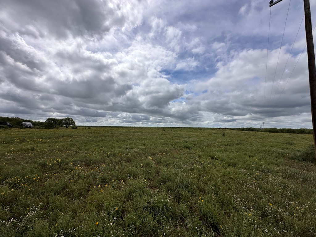 Tbd County Rd 408 Property Photo 13