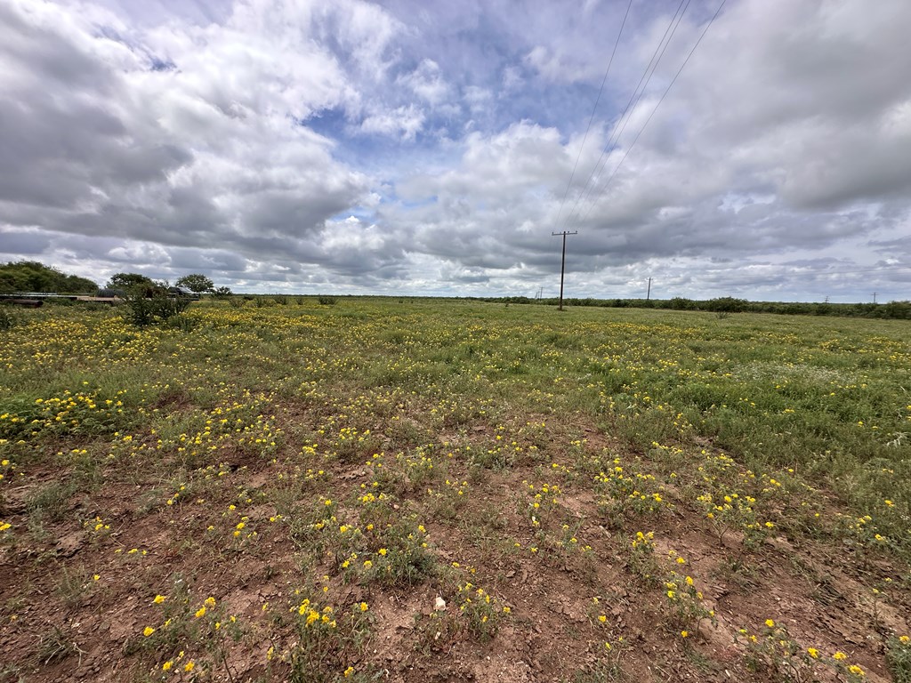 Tbd County Rd 408 Property Photo 14