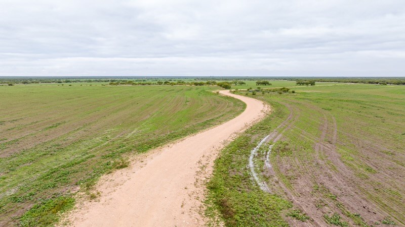 Tbd County Rd 408 Property Photo 17