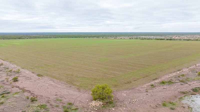 Tbd County Rd 408 Property Photo 18