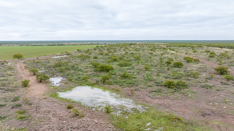 Tbd County Rd 408 Property Photo 19