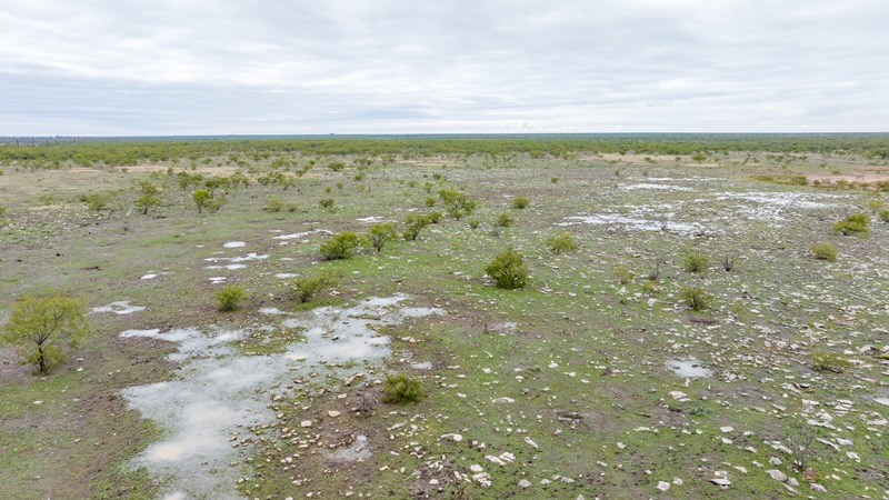 Tbd County Rd 408 Property Photo 21