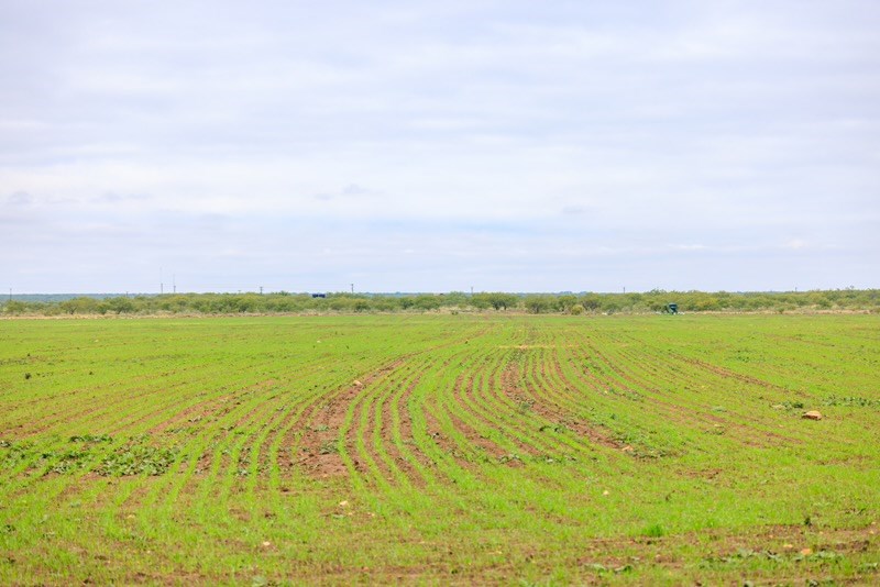 Tbd County Rd 408 Property Photo 23