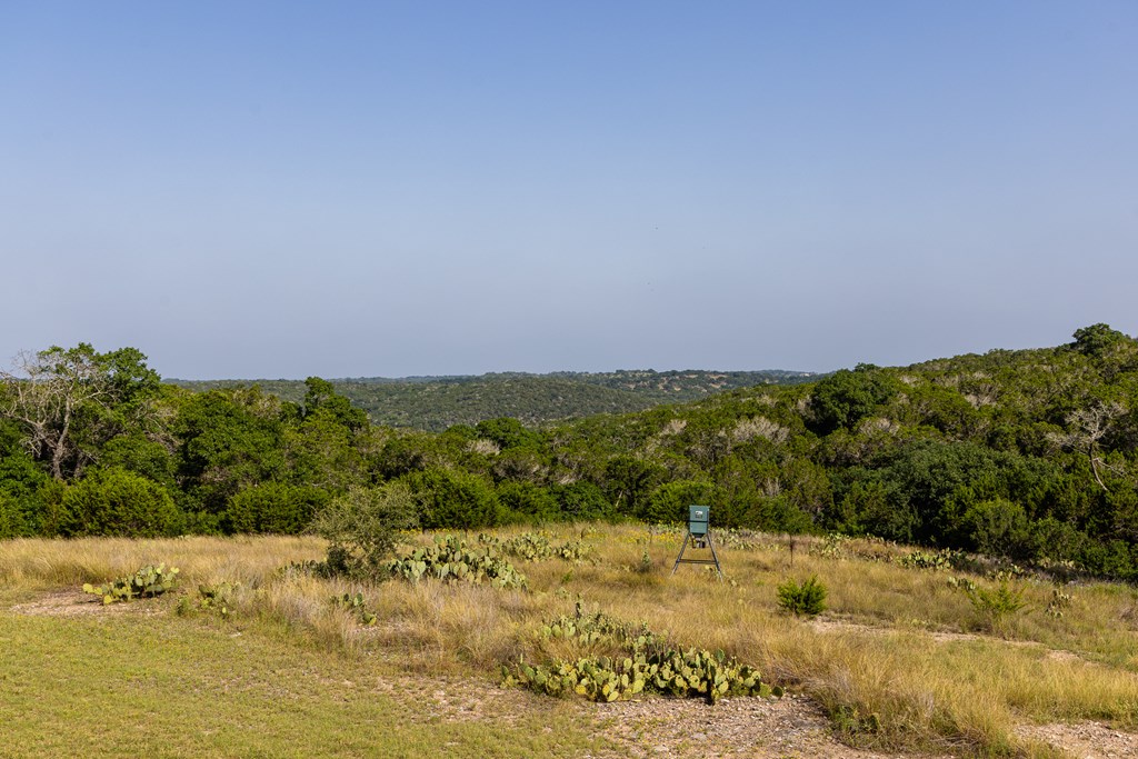 174 Cedar Rock Trl Property Photo 19