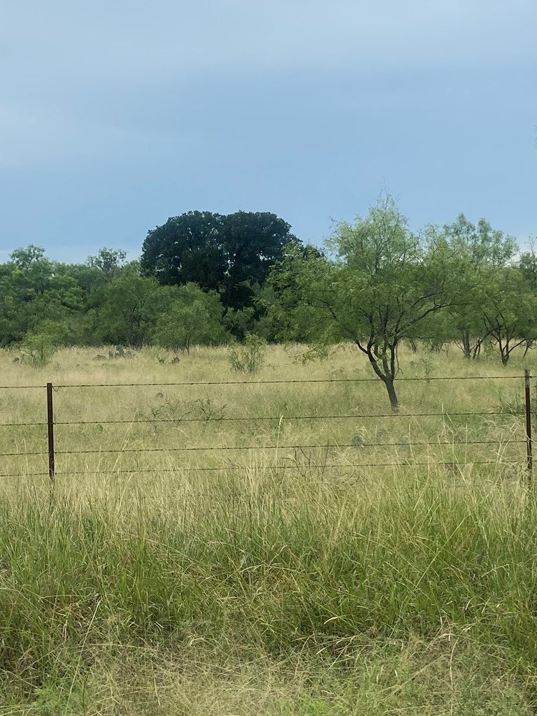 189 E Par-don Road Property Photo 6