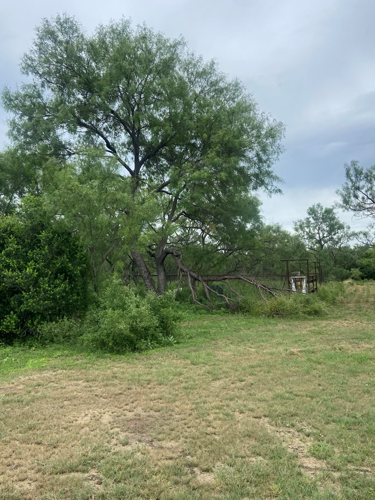 189 E Par-don Road Property Photo 9