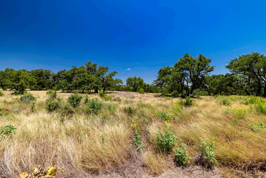 Lot 104 -- Murray Rdg # 104 Property Photo 5