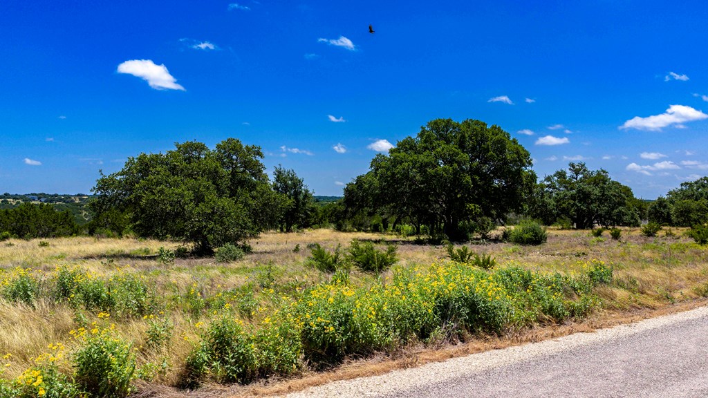 Lot 104 -- Murray Rdg # 104 Property Photo 8