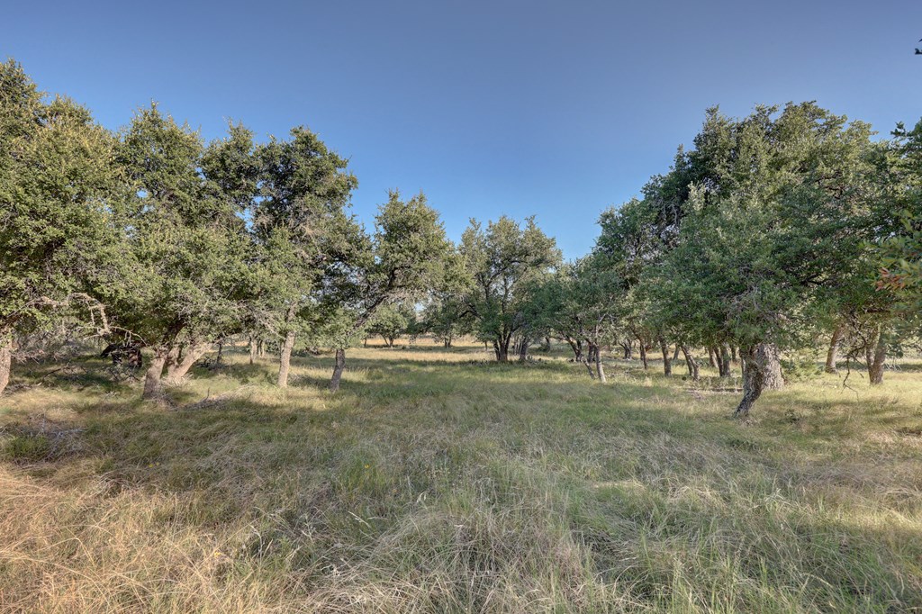 680 Windmill Ridge Property Photo 28