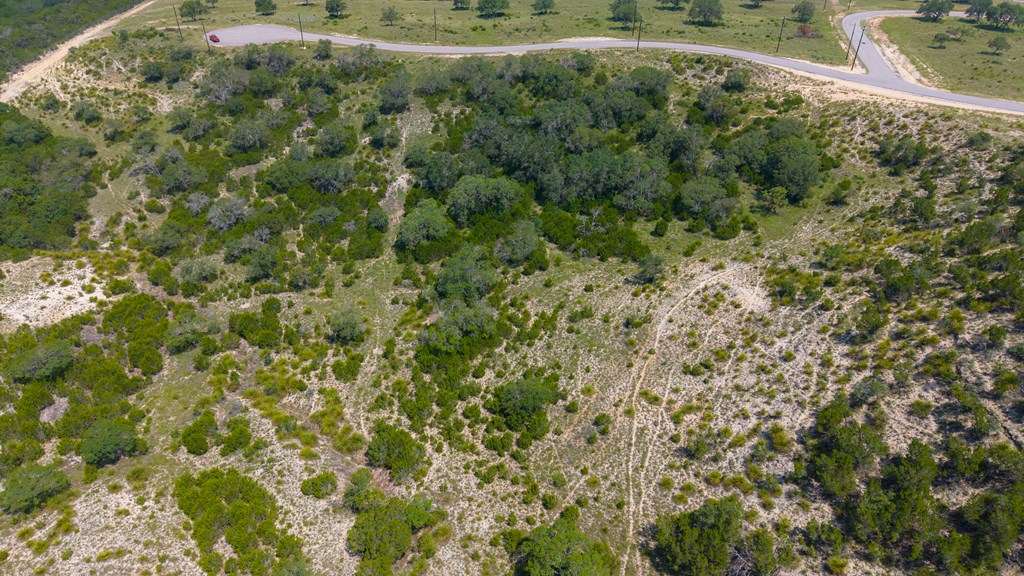 Lot 37 Blackbuck Trail # 37 Property Photo 2