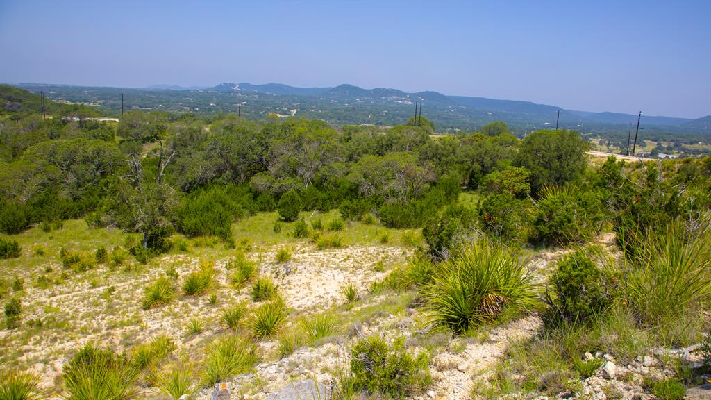 Lot 37 Blackbuck Trail # 37 Property Photo 7