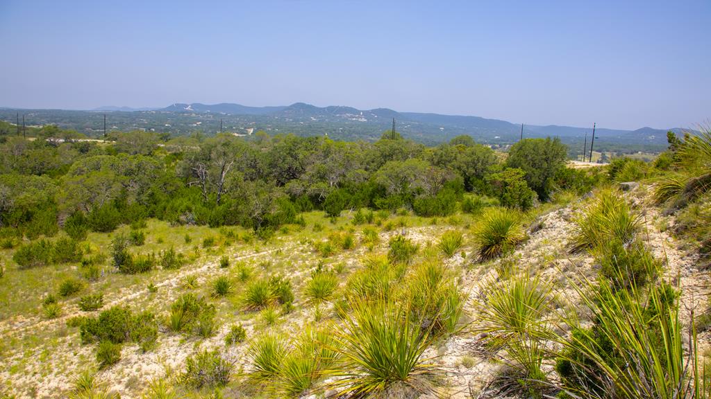 Lot 37 Blackbuck Trail # 37 Property Photo 8