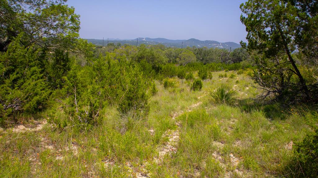 Lot 37 Blackbuck Trail # 37 Property Photo 9