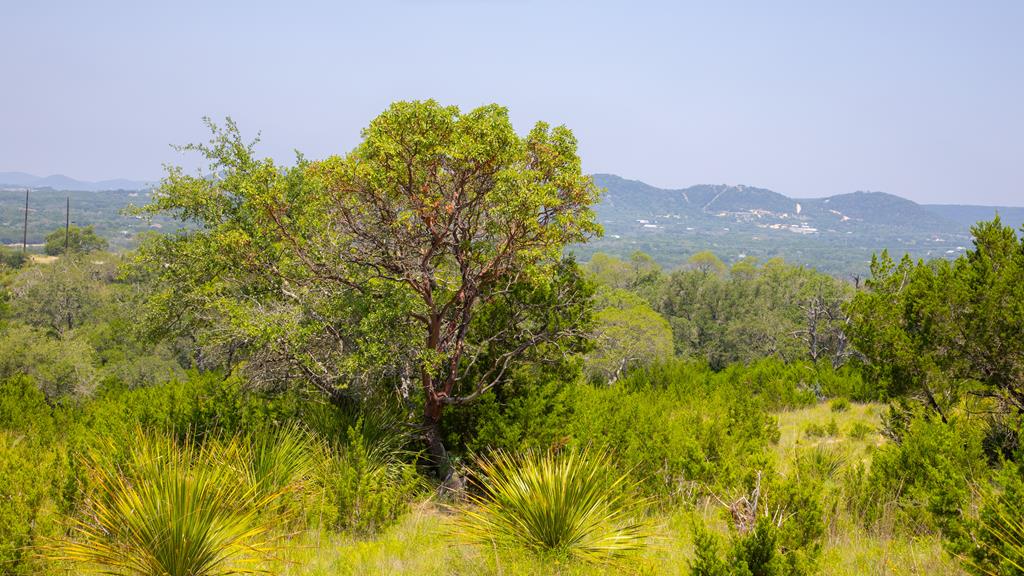Lot 37 Blackbuck Trail # 37 Property Photo 10