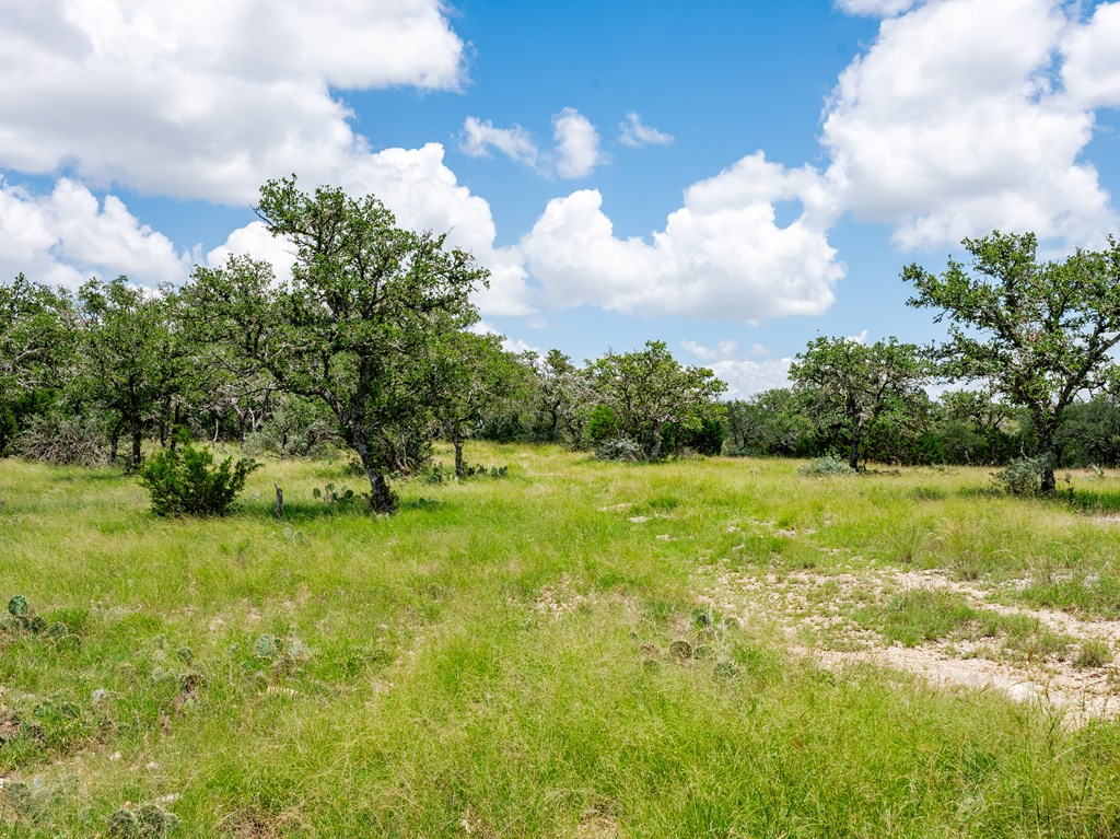 1632 Link # 3 Property Photo 9
