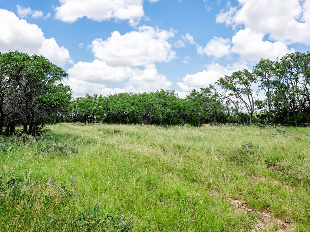 1632 Link # 3 Property Photo 12