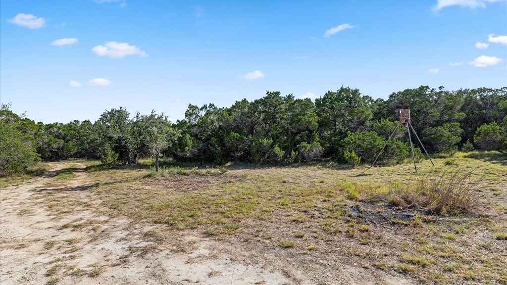 2880 Fm 165 Property Photo 3