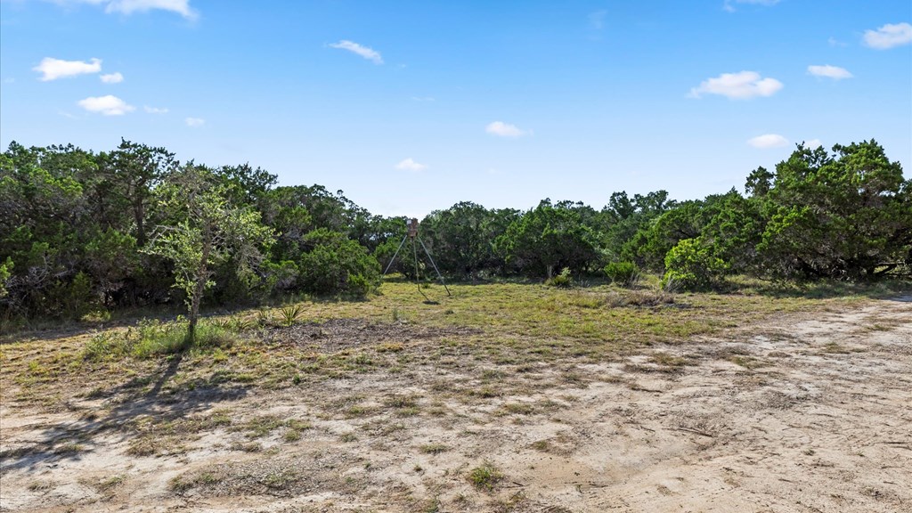 2880 Fm 165 Property Photo 4