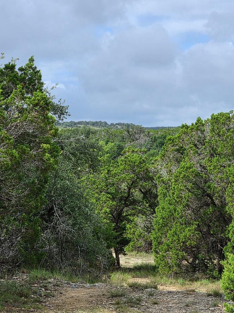 2880 Fm 165 Property Photo 17