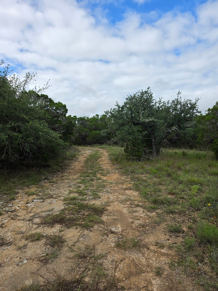2880 Fm 165 Property Photo 18