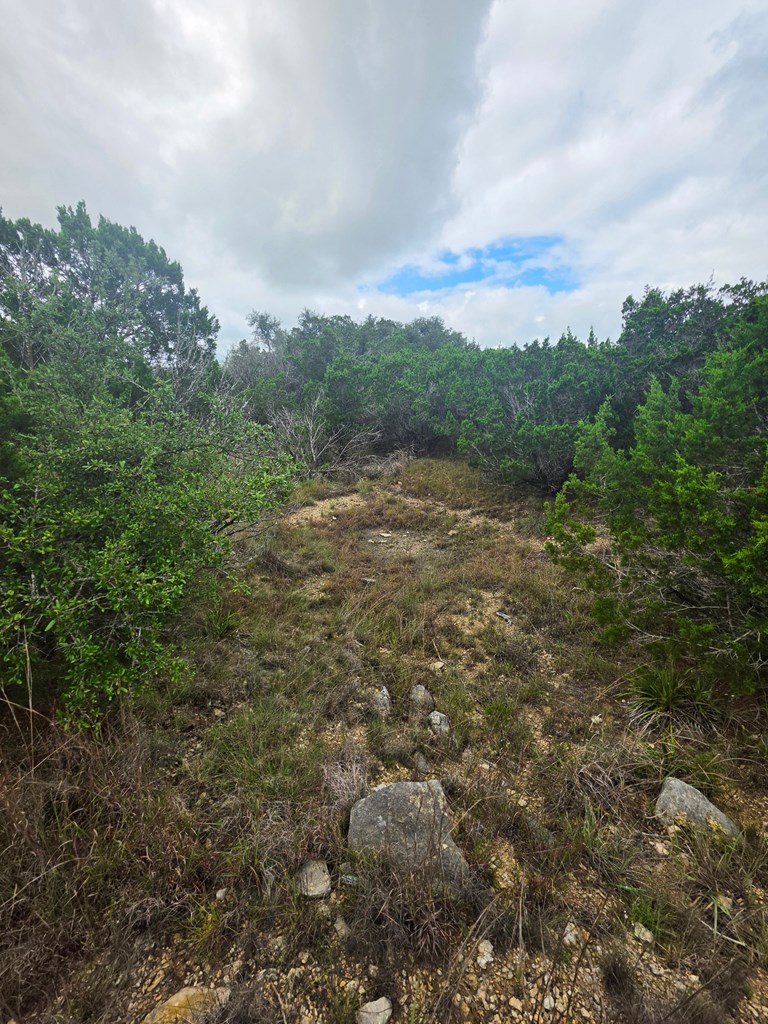 2880 Fm 165 Property Photo 19