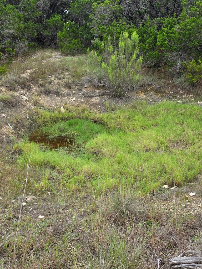 2880 Fm 165 Property Photo 20