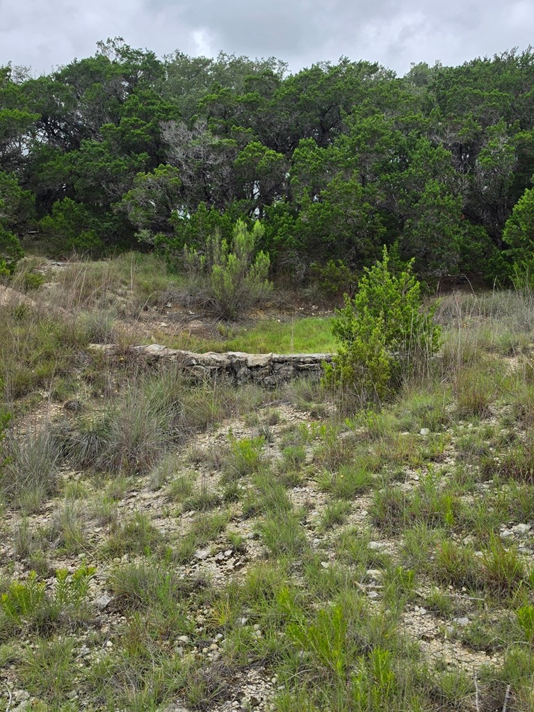 2880 Fm 165 Property Photo 21