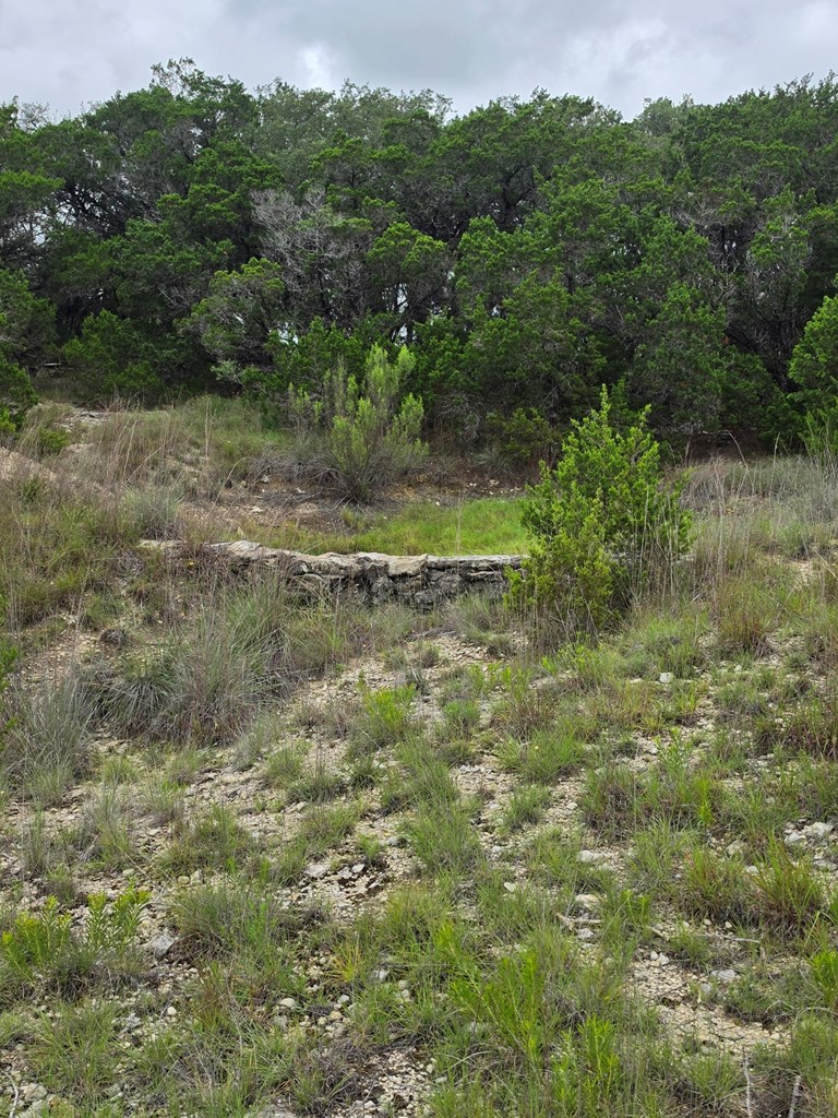 2880 Fm 165 Property Photo 22