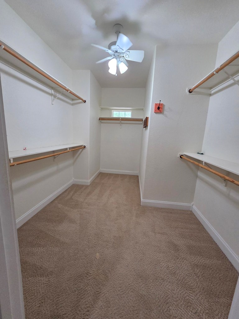 2150 Hedgestone Property Photo 17