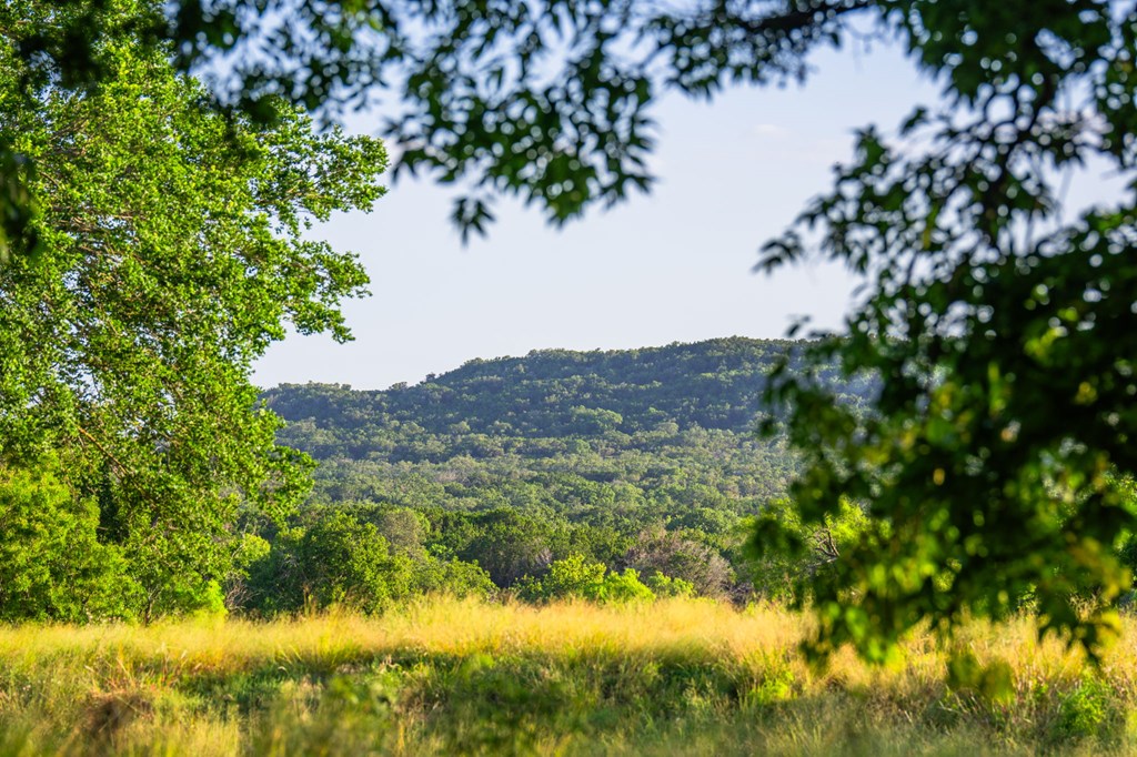 3841 W Us Hwy 290 Property Photo 6