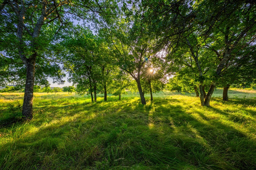 3841 W Us Hwy 290 Property Photo 7