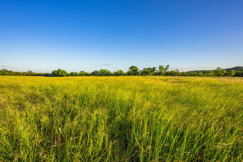3841 W Us Hwy 290 Property Photo 10