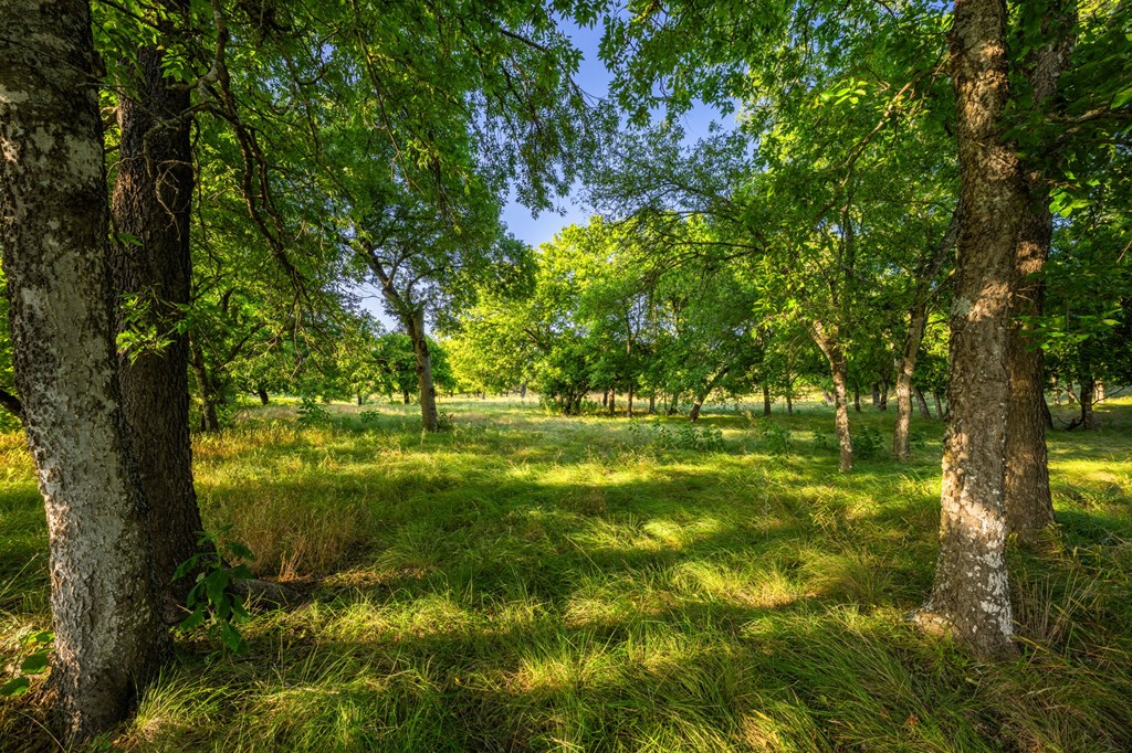 3841 W Us Hwy 290 Property Photo 37